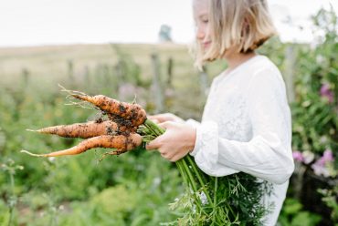 Como Ter uma Alimentação Saudável – A Forma Ideal Segundo a Medicina