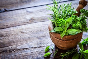 Medicina Natural – O que é e quais são seus BENEFÍCIOS